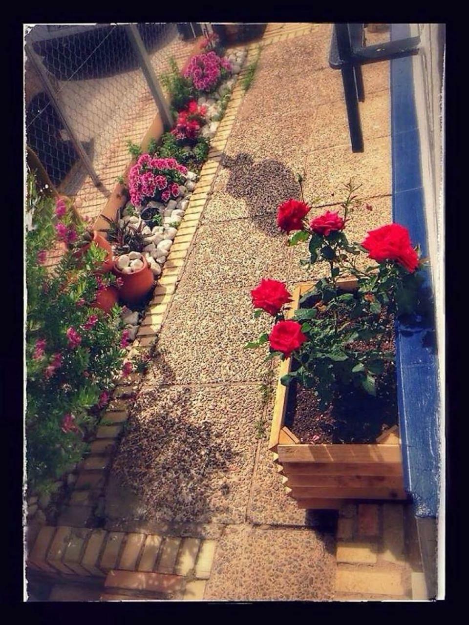 Hostal Puerto De Santa Maria เอลปูแอร์โต เด ซานตามาริอา ภายนอก รูปภาพ